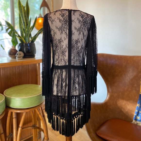 Alice McCall black lace dress, sheer w/ tassels | Victorian, Gothic, Witchy Sz 4 - Picture 5 of 11